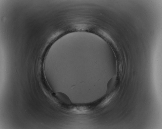 X0000085280492200703301919