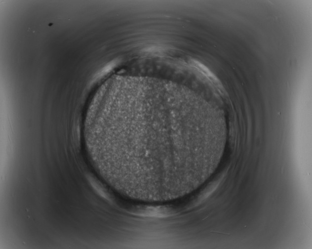 X0000085280493200703301919