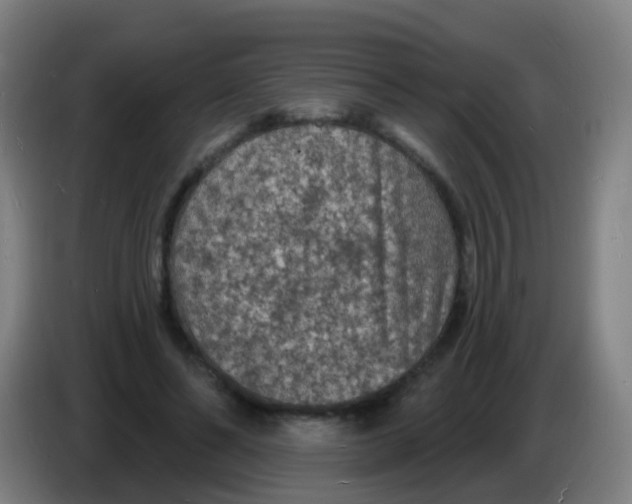 X0000085280494200703301919