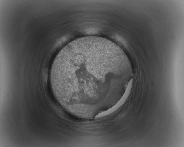 X0000085280495200703301919