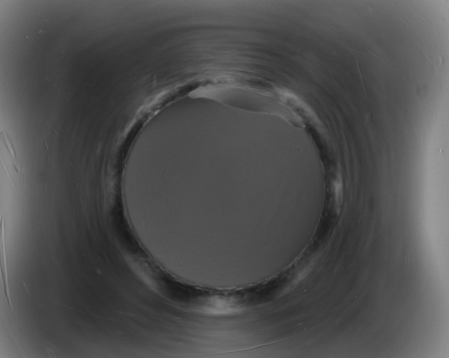 X0000085280496200703301919