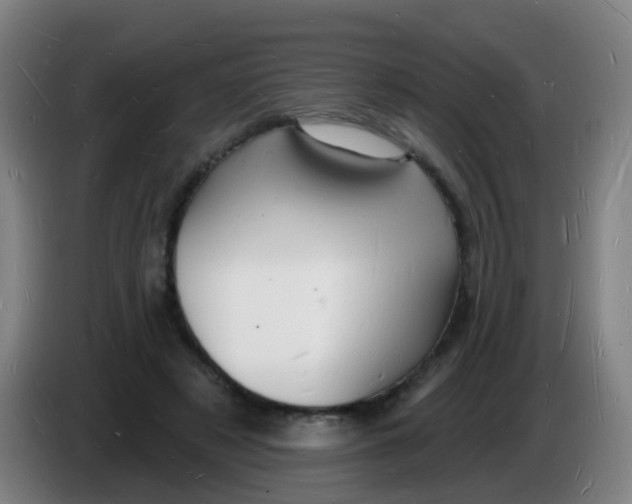 X0000085280497200703301919