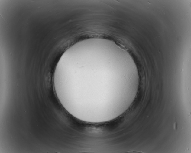 X0000085280498200703301919