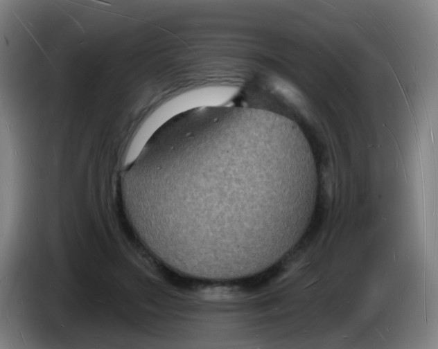 X0000085280499200703301919