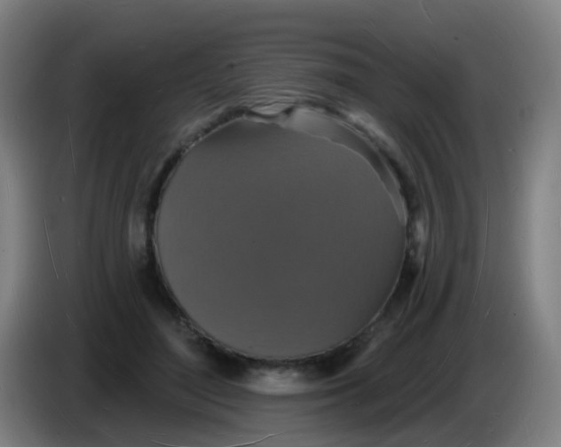 X0000085280500200703301919