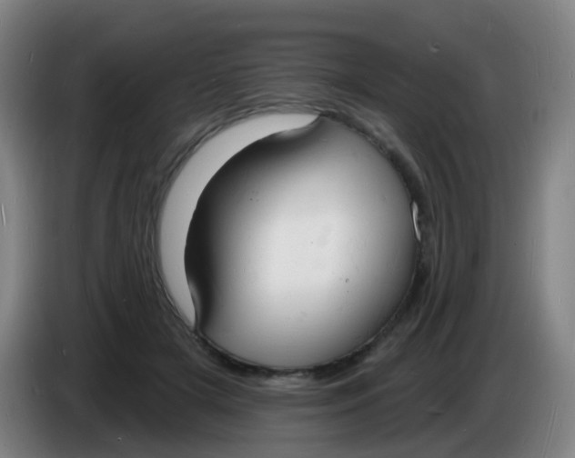 X0000085280505200703301919