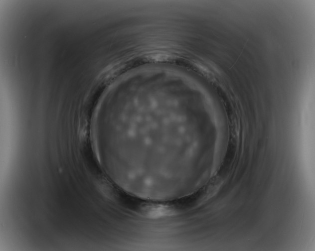 X0000085280507200703301919