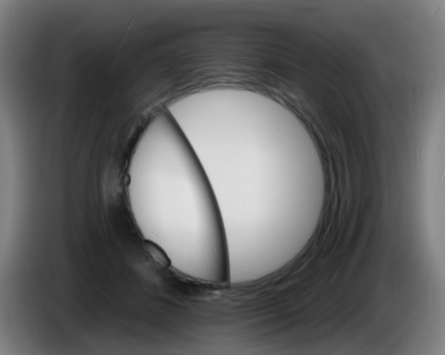 X0000085280508200703301919