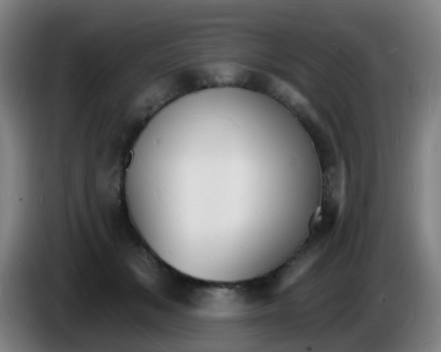 X0000085280509200703301919