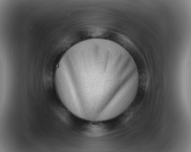 X0000085280510200703301919