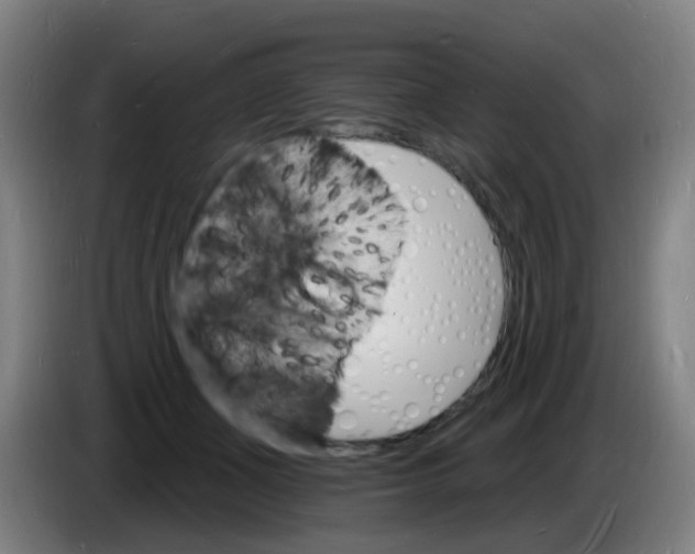 X0000085280511200703301919