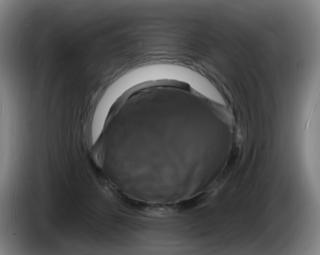 X0000085280512200703301919