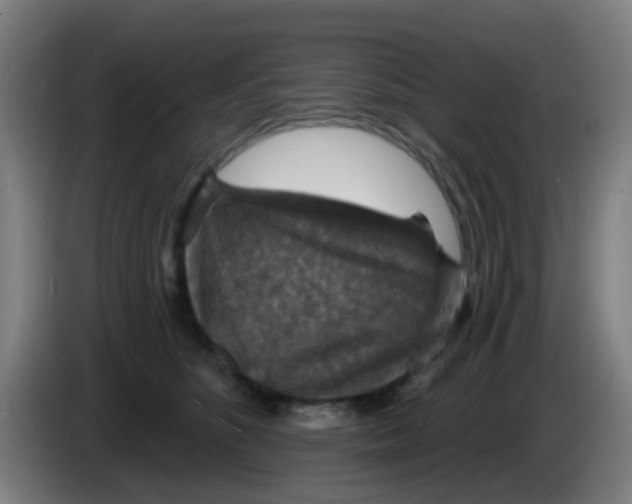 X0000085280516200703301918