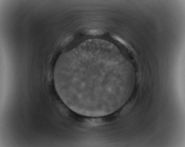 X0000085280517200703301918