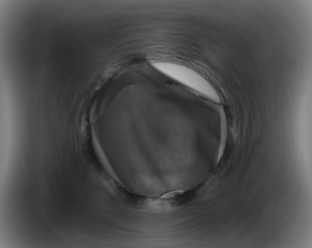 X0000085280520200703301918