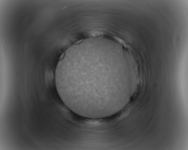 X0000085280523200703301918