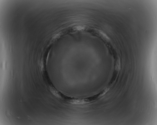 X0000085280524200703301918