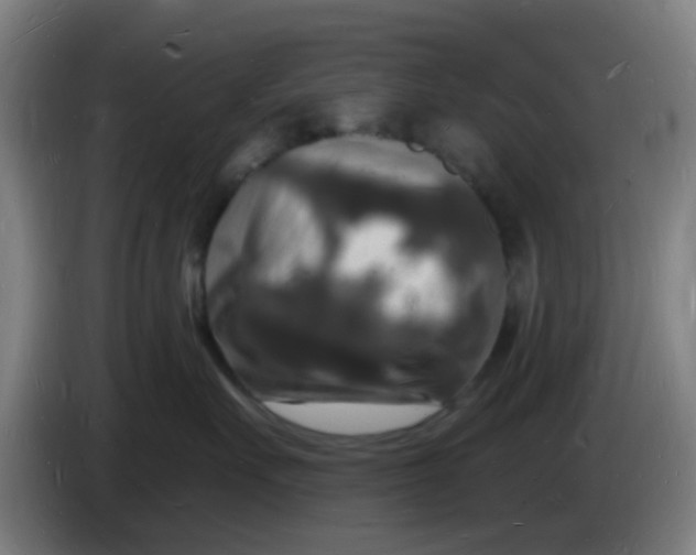 X0000085280527200703301918