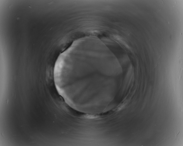 X0000085280528200703301918