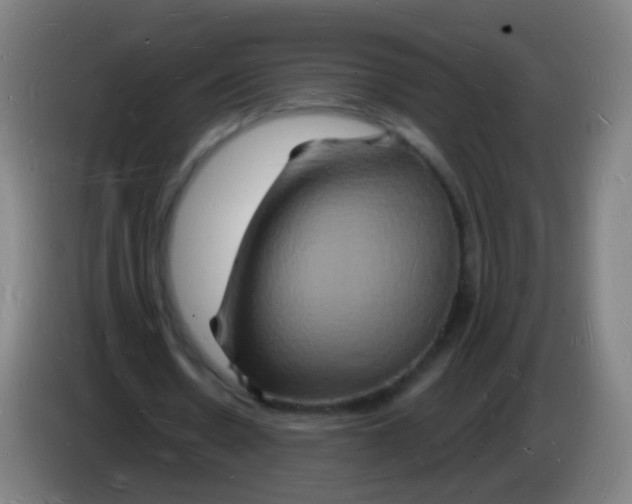 X0000085280530200703301918