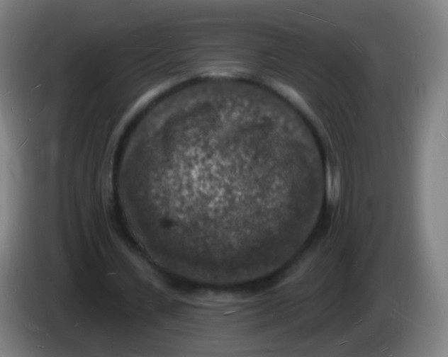 X0000085280531200703301918