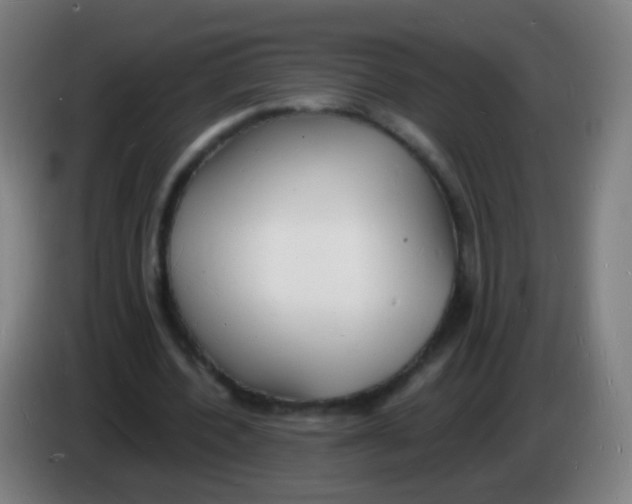 X0000085280532200703301918