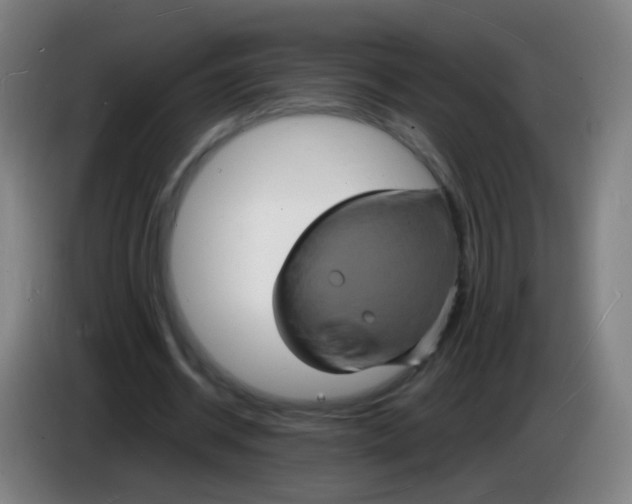 X0000085280534200703301918