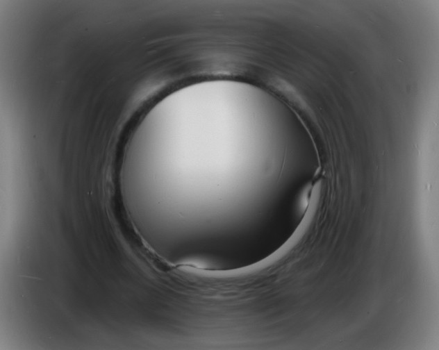 X0000085280536200703301918