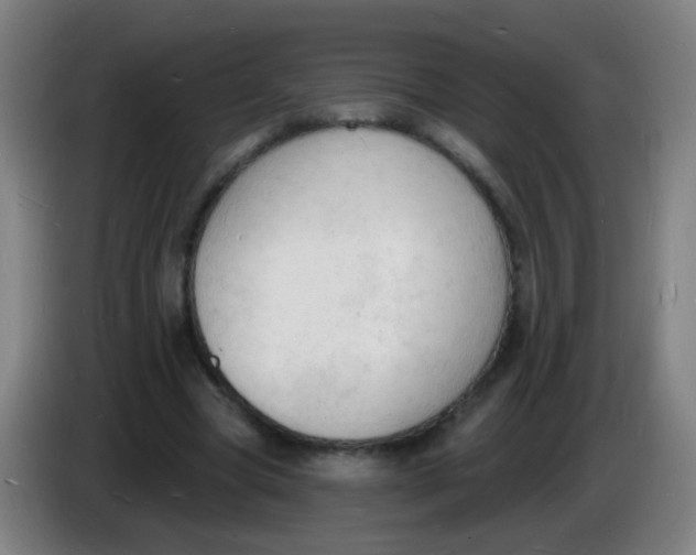 X0000085280537200703301918