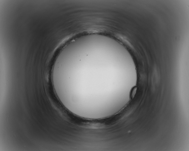 X0000085280539200703301918