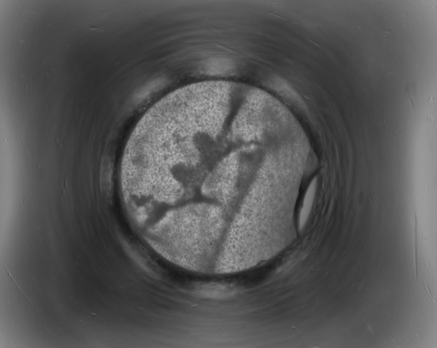 X0000085280542200703301918