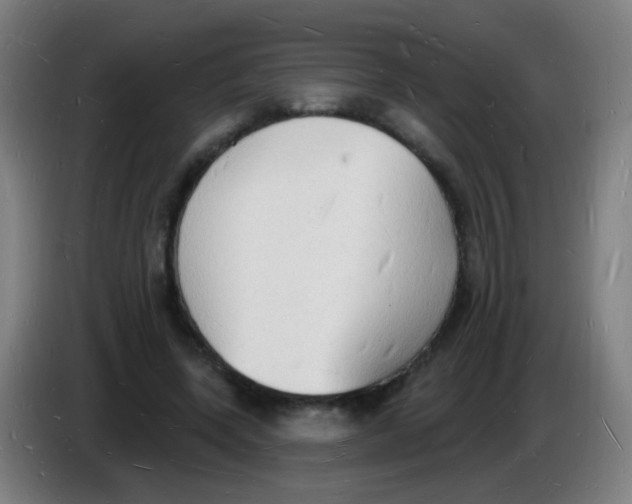 X0000085280543200703301918