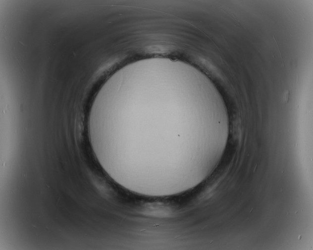 X0000085280544200703301918