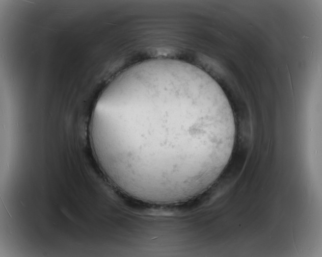 X0000085280545200703301918