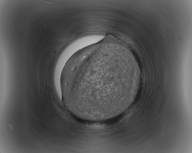 X0000085280546200703301918