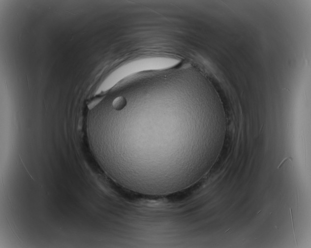 X0000085280548200703301918