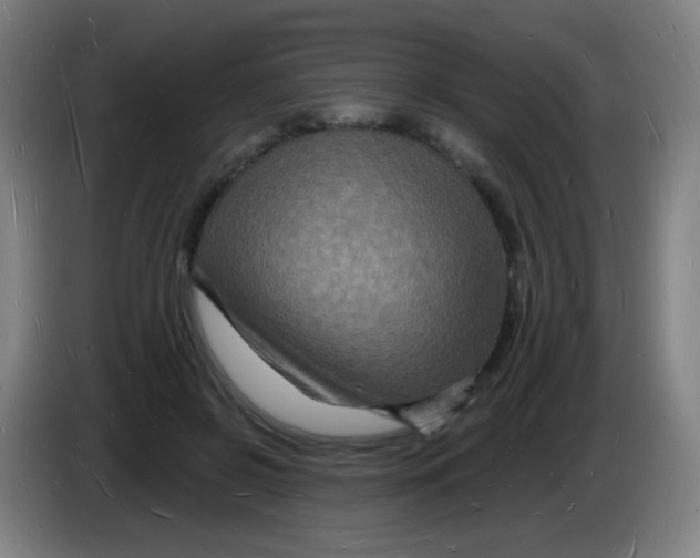 X0000085280550200703301918