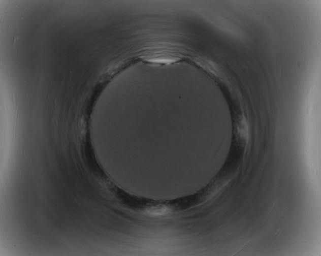 X0000085280551200703301918