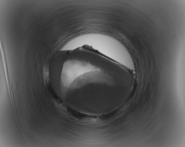 X0000085280552200703301918