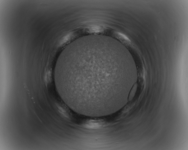 X0000085280556200703301918