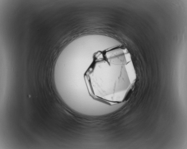 X0000085280558200703301918