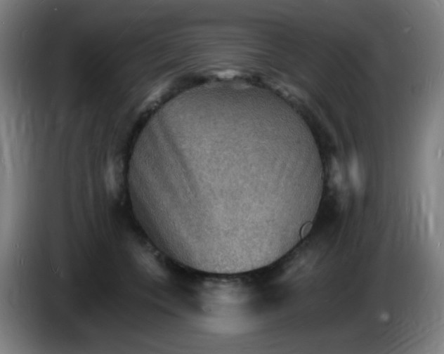 X0000085280559200703301918