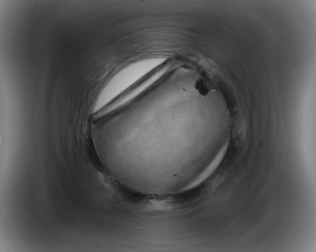 X0000085280560200703301918