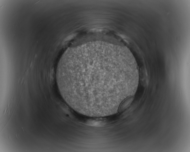 X0000085280563200703301918