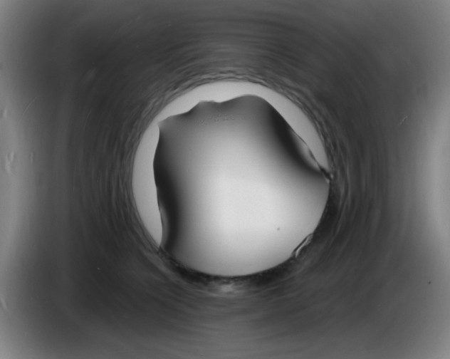 X0000085280564200703301918