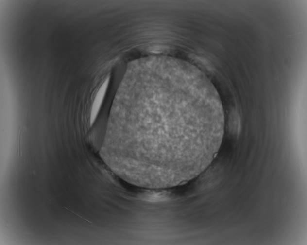 X0000085280569200703301918