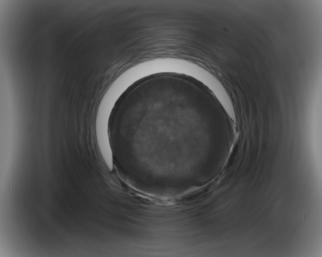 X0000085280570200703301918