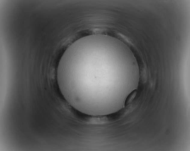 X0000085280571200703301918