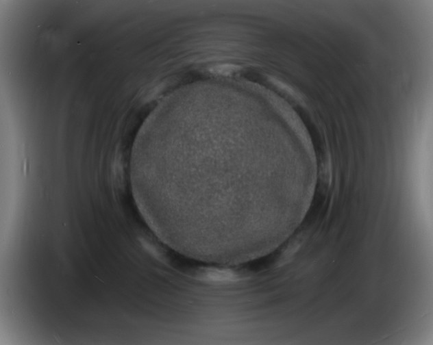 X0000085280572200703301918