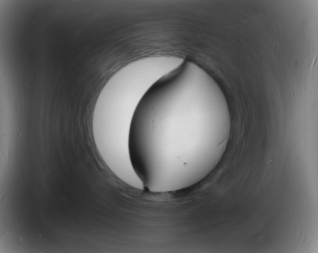 X0000085280576200703301918